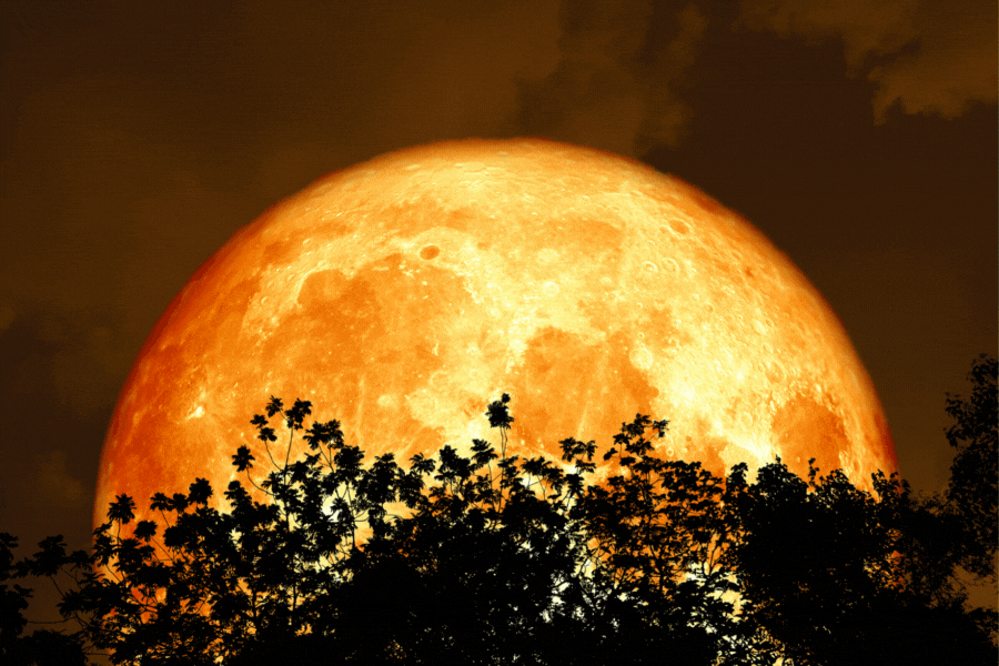 XPR_MOONS