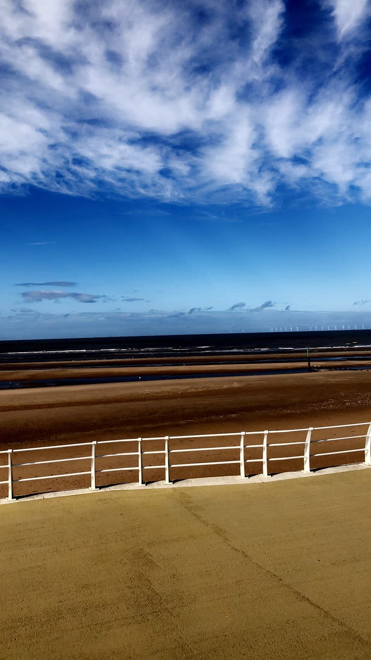 TheNatureArchives 