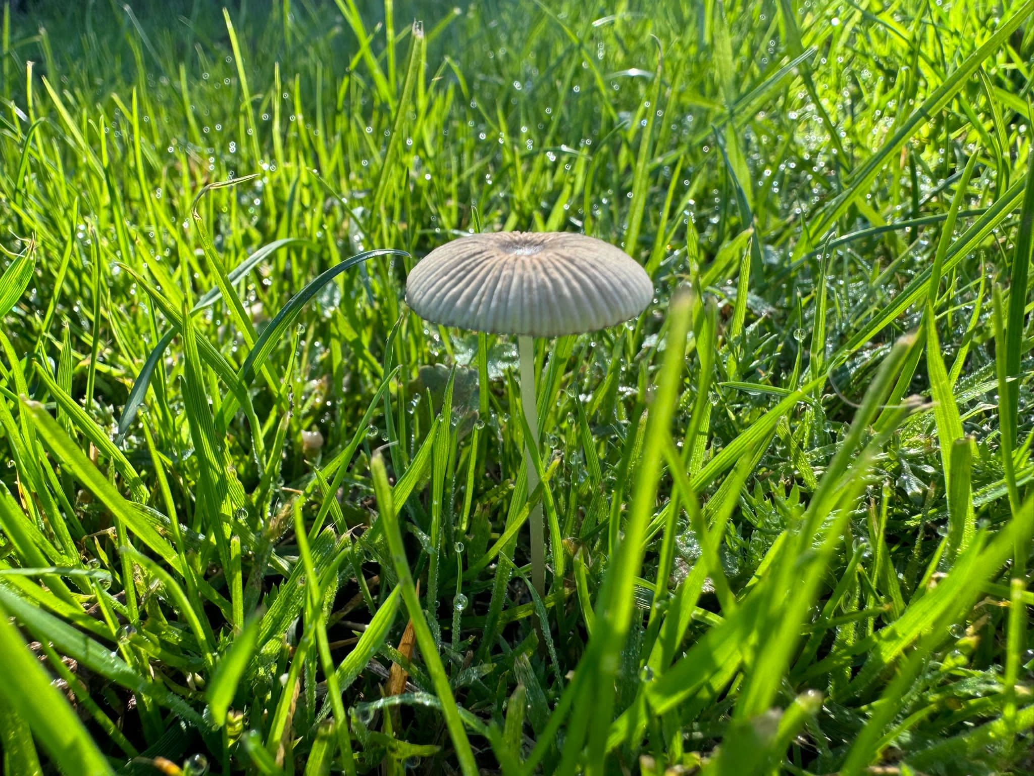 Nature of Things